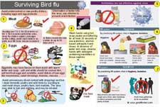 Preventive measures that need to be taken against bird flu