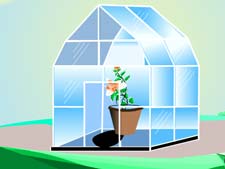 A green house 