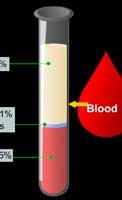 Composition of blood platelets, wbc, rbc