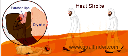 effect of temperature, weather, environment on human body