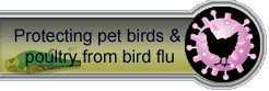 Protecting poultruy and pet birds from bird flu 