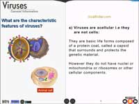 Characteristic features of virus 