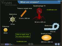 Types of virus -Tobacco mosaic virus, adenovirus, poliovirus, bacteriophage, ebola, small pox virus 