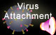 Virus attachment