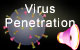 Virus Penetration