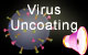 Virus uncoating